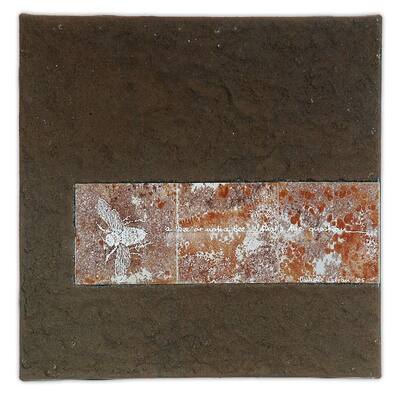 Brown, rough surface with a rectangle of rust and a white drawing of an insect.