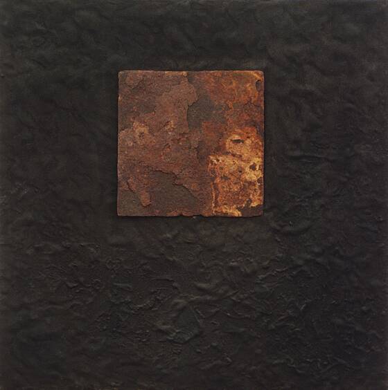 Dark, textured surface with a square field of rust.