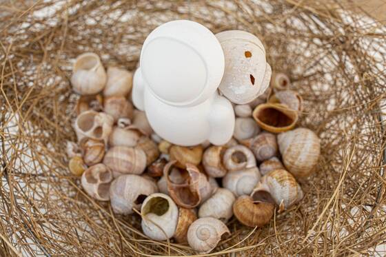 White figure in a straw nest, surrounded by many empty snail shells.